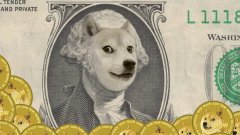 TokenPocket钱包APP下载|5 年前的今天，1,000 美元 DOGE 值多少钱？