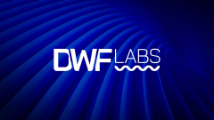 tp钱包app官网|专访DWF Labs：我们不操纵任何东西