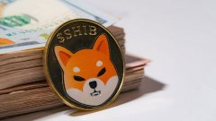TokenPocket官方下载|柴犬的匿名创造者有多少个 SHIB？ 确切地..
