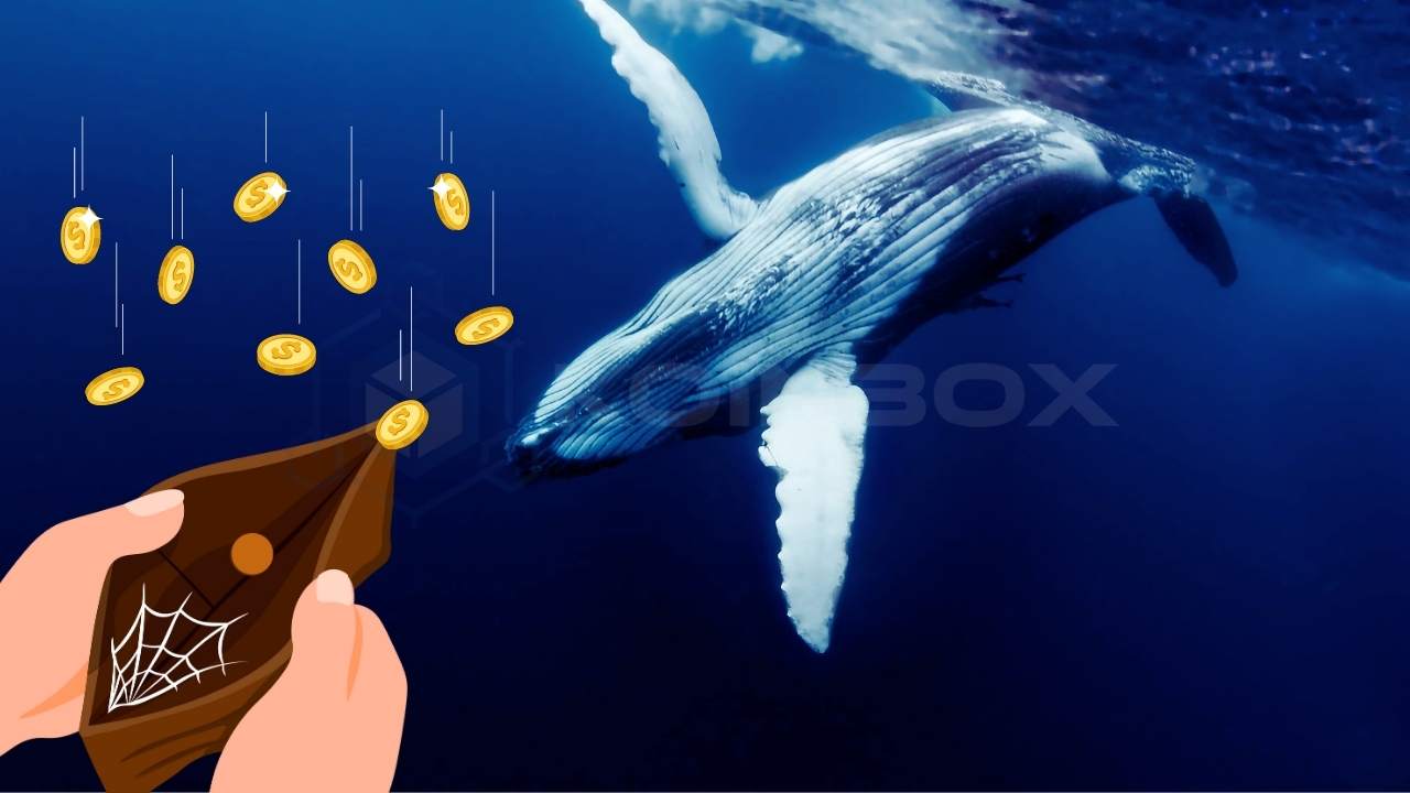 鲸鱼并没有停止：他从这个山寨币中购买了 381 万美元！