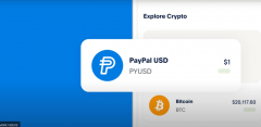 tp钱包app官网|PayPal稳定币项目PYUSD市值突破2.9亿美元