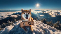 tp官网|如果柴犬价格达到 0.1 美元，你需要多少才能赚到 1000 万美元？
